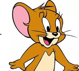 老鼠大神最新爆料下载,老鼠大神最新爆料,带你一探究竟!